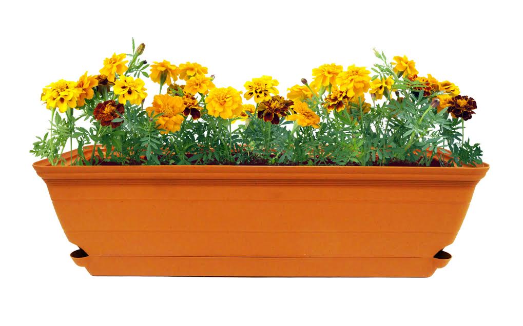 Flare Self-Watering Window Box: Misco Home & Garden